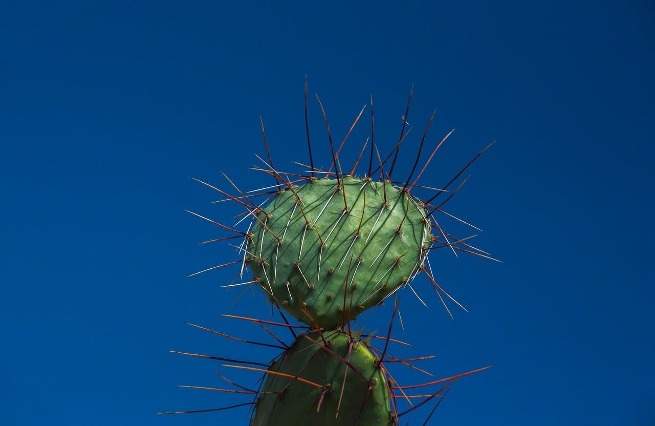 Microsoft Loop : L'outil collaboratif ultime pour les équipes connectées- WhichBetter